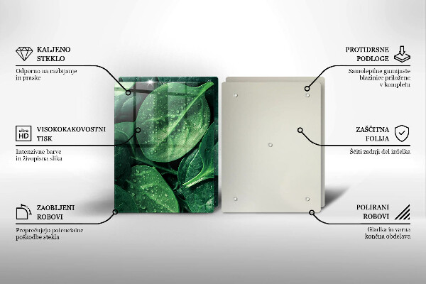 Protection plaque induction Feuilles de basilic