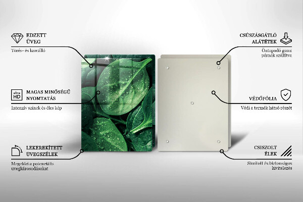 Protection plaque induction Feuilles de basilic