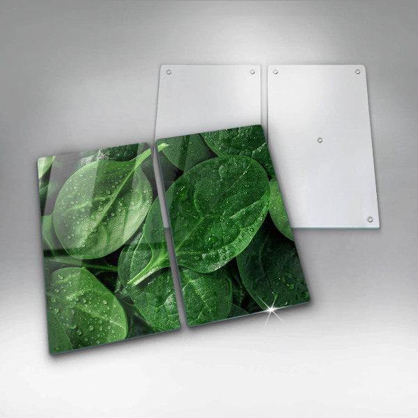 Protection plaque induction Feuilles de basilic