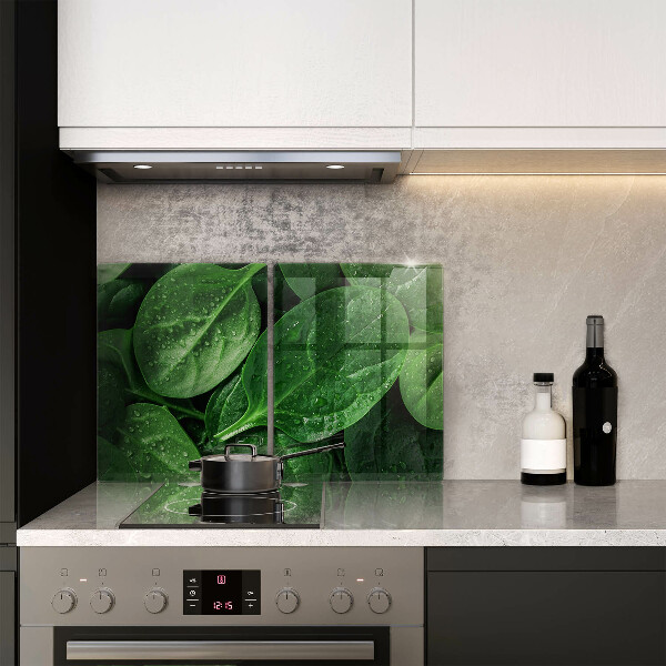 Protection plaque induction Feuilles de basilic