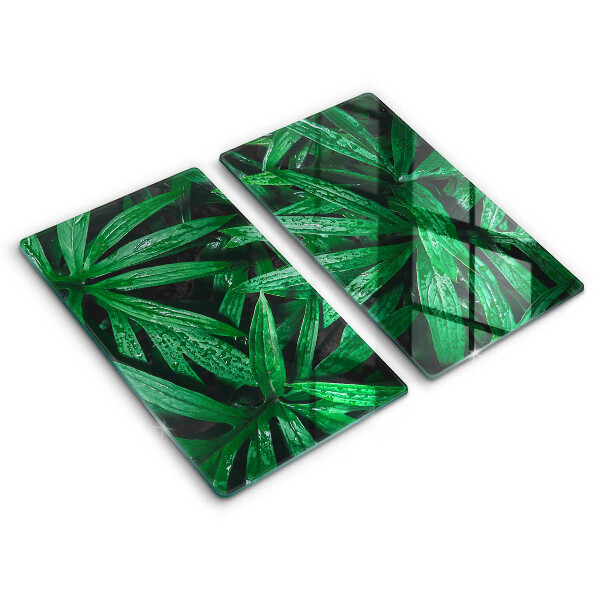 Protection plaque induction Feuilles de plantes