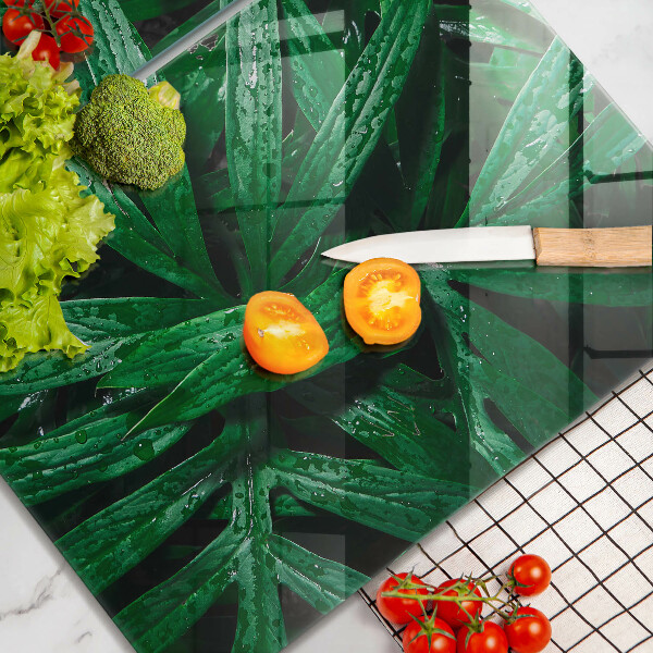 Protection plaque induction Feuilles de plantes