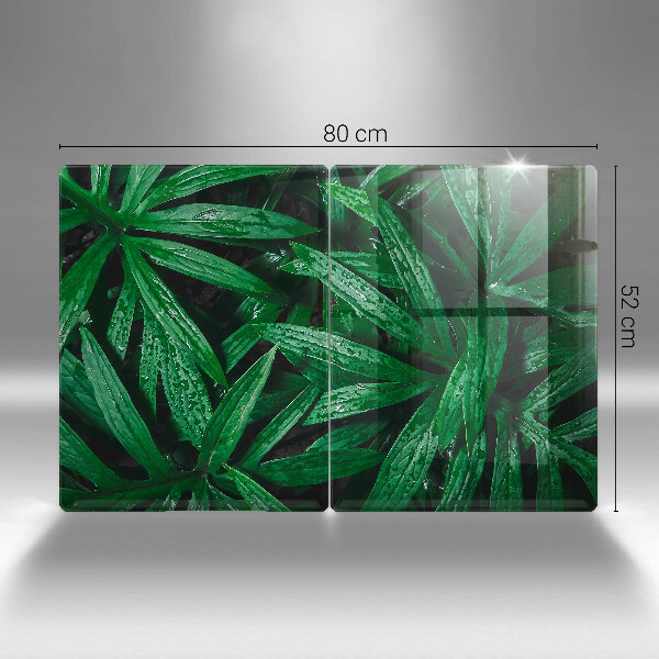 Protection plaque induction Feuilles de plantes