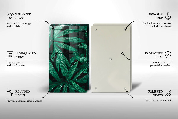 Protection plaque induction Feuilles de plantes