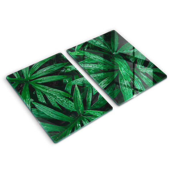 Protection plaque induction Feuilles de plantes