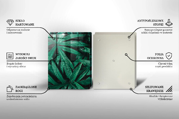 Protection plaque induction Feuilles de plantes