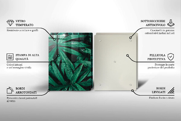 Protection plaque induction Feuilles de plantes