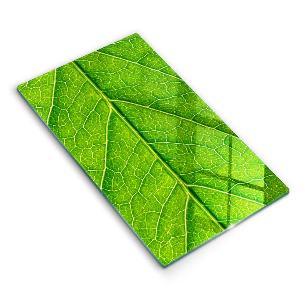 Protège plaque de cuisson Nervures des feuilles naturelles