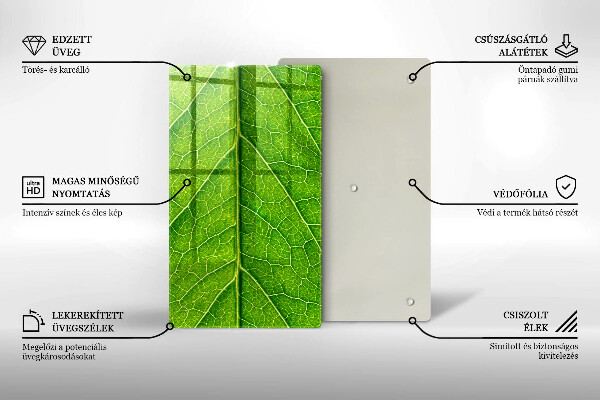 Protège plaque de cuisson Nervures des feuilles naturelles