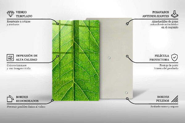 Protège plaque de cuisson Nervures des feuilles naturelles