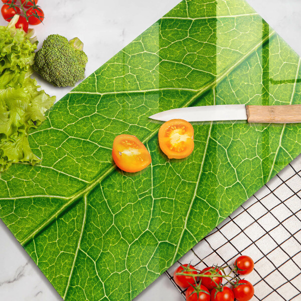 Protège plaque de cuisson Nervures des feuilles naturelles