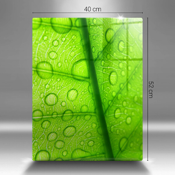 Protège plaque de cuisson Gros plan d'une feuille