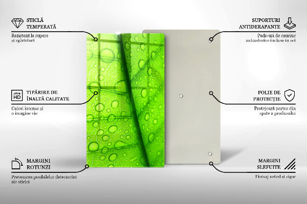 Protège plaque de cuisson Gros plan d'une feuille