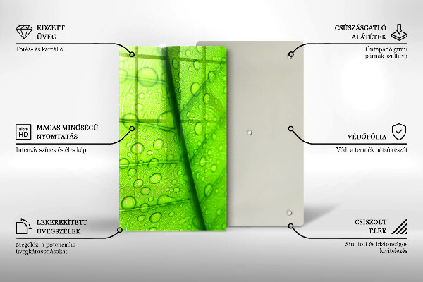 Protège plaque de cuisson Gros plan d'une feuille