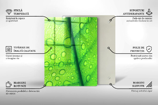 Protège plaque de cuisson Gros plan d'une feuille