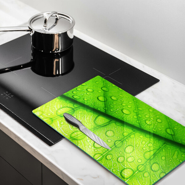 Protège plaque de cuisson Gros plan d'une feuille