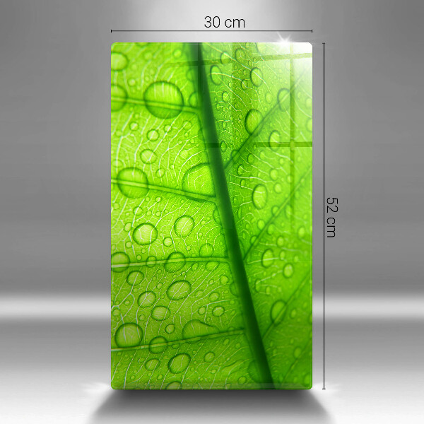 Protège plaque de cuisson Gros plan d'une feuille