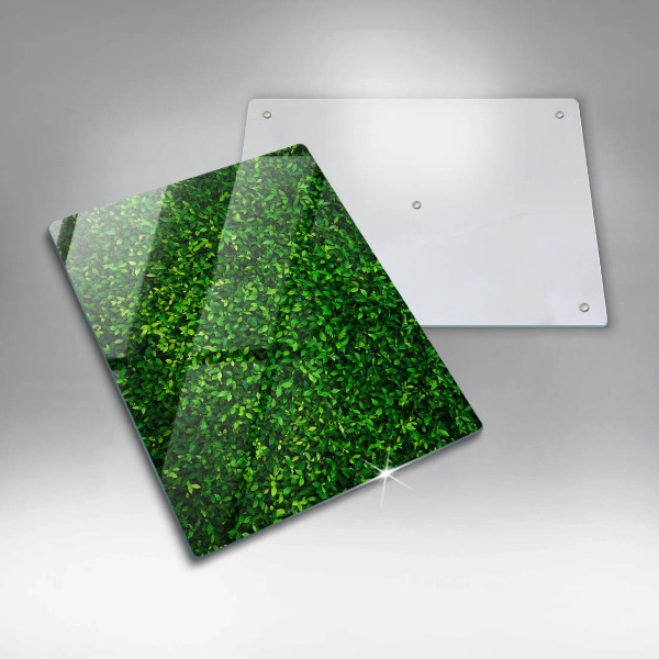 Protège plaque de cuisson Plante à petites feuilles