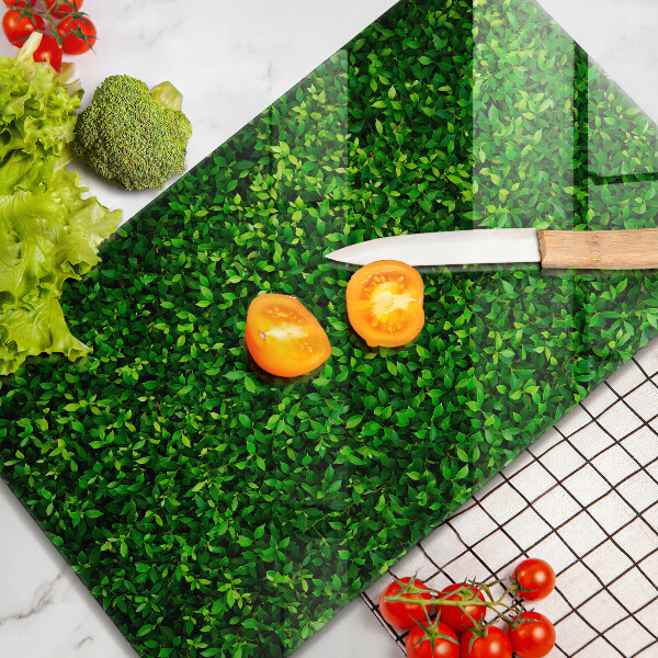 Protège plaque de cuisson Plante à petites feuilles