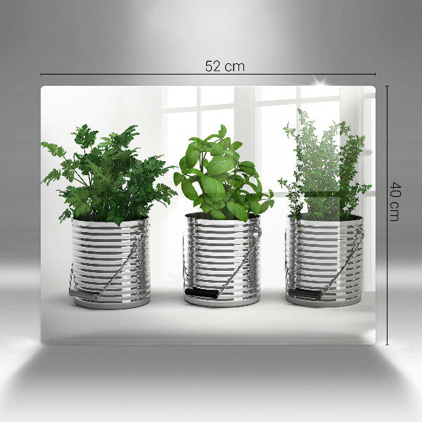 Protection plaque induction Pots de plantes aromatiques