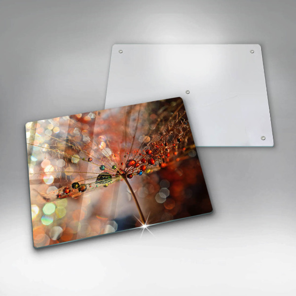 Protection plaque induction Pissenlit mouillé