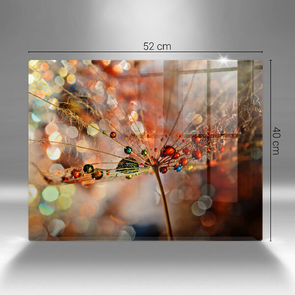 Protection plaque induction Pissenlit mouillé