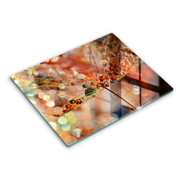 Protection plaque induction Pissenlit mouillé