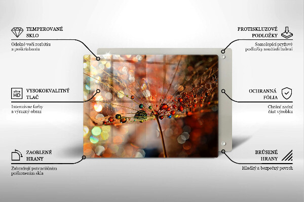 Protection plaque induction Pissenlit mouillé