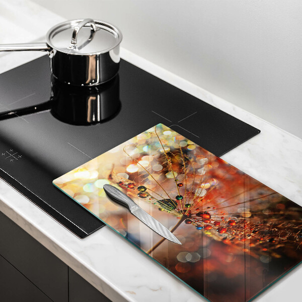 Protection plaque induction Pissenlit mouillé