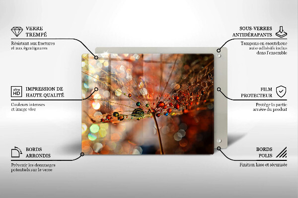 Protection plaque induction Pissenlit mouillé