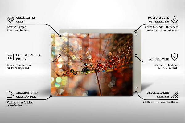 Protection plaque induction Pissenlit mouillé