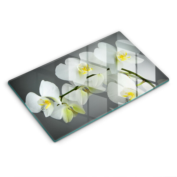 Protection plaque induction Fleurs d'orchidées blanches