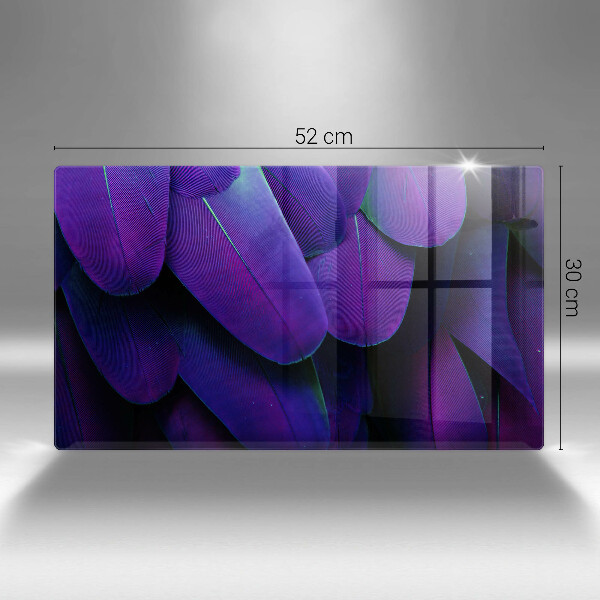 Protection plaque induction Plumes de néon