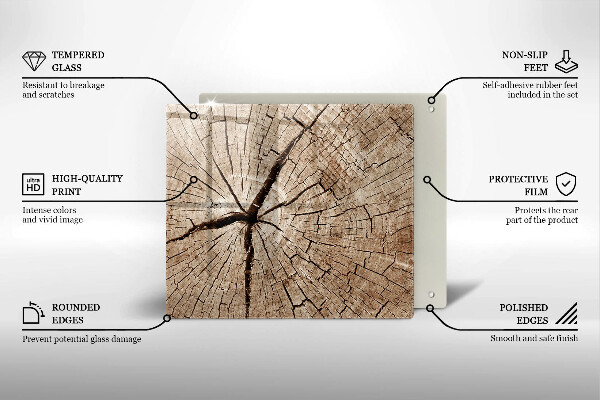 Protection plaque induction Coupe transversale d'un arbre