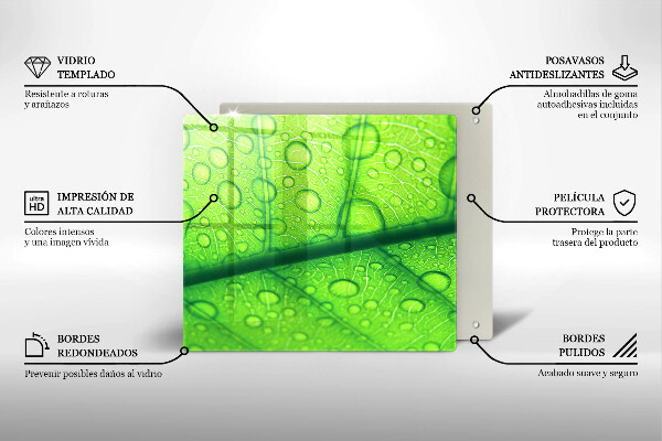 Protège plaque de cuisson Gros plan d'une feuille