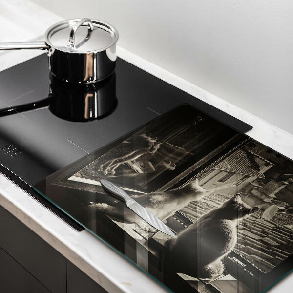 Protection plaque induction Ville et fenêtre des chats