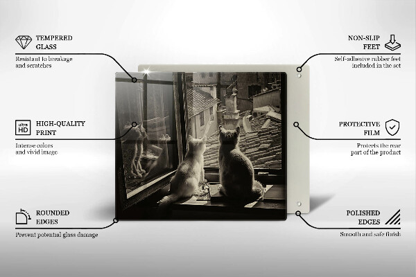 Protection plaque induction Ville et fenêtre des chats