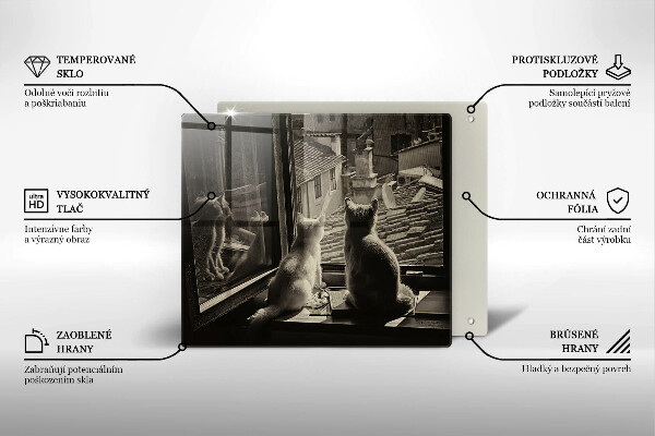 Protection plaque induction Ville et fenêtre des chats