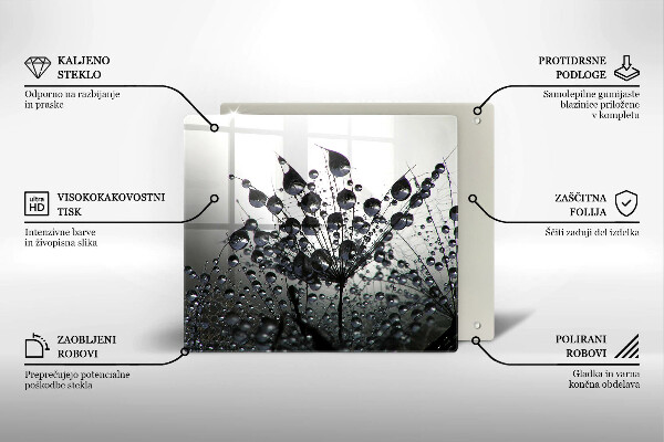 Protection plaque induction Pissenlits et rosée