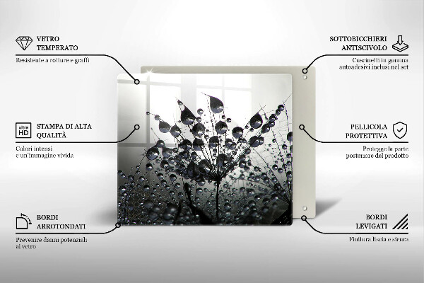 Protection plaque induction Pissenlits et rosée
