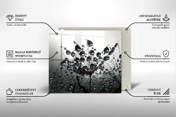 Protection plaque induction Pissenlits et rosée