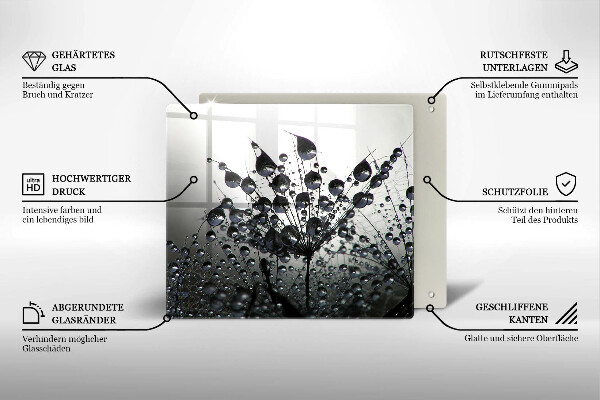 Protection plaque induction Pissenlits et rosée