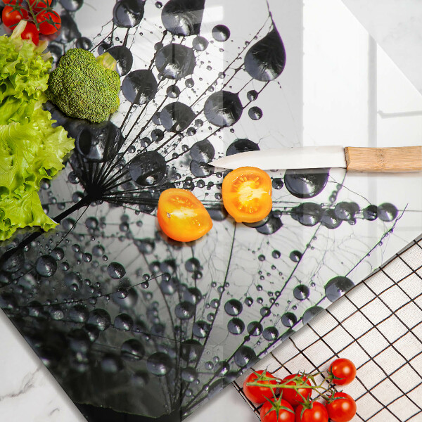 Protection plaque induction Pissenlits et rosée