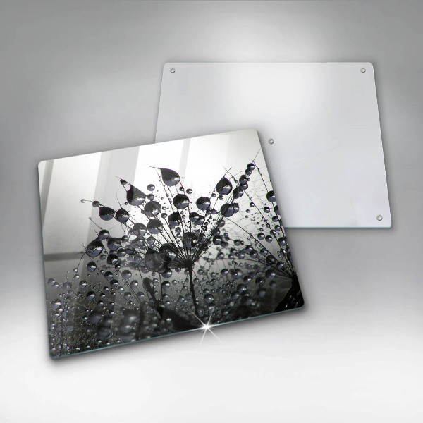 Protection plaque induction Pissenlits et rosée