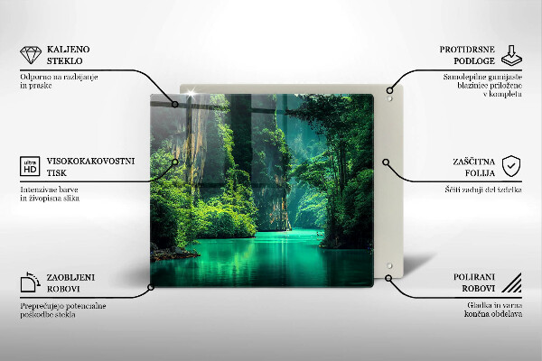 Protection plaque induction Paysage lagon