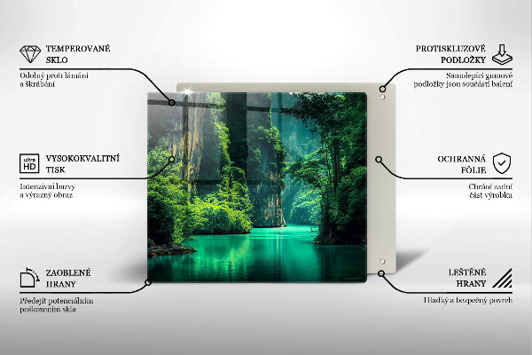 Protection plaque induction Paysage lagon