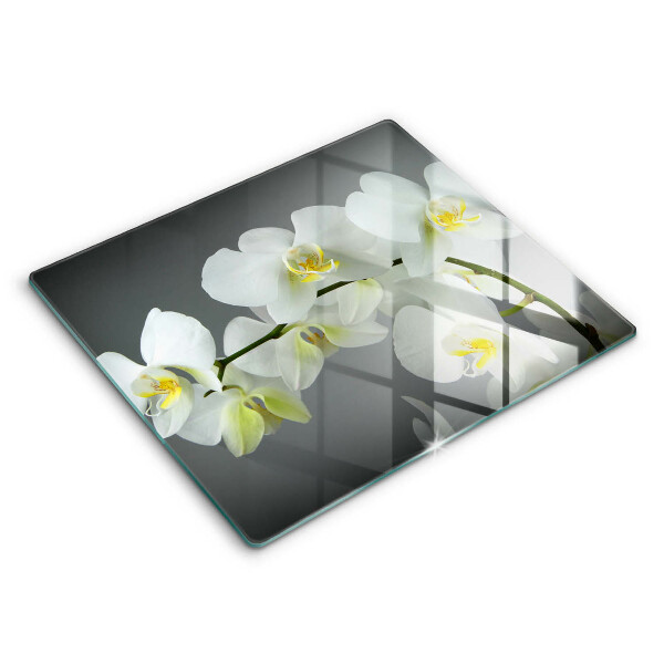 Protection plaque induction Fleurs d'orchidées blanches