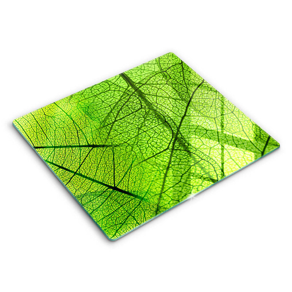 Protection plaque induction Nervures des feuilles naturelles