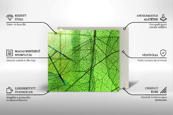 Protection plaque induction Nervures des feuilles naturelles
