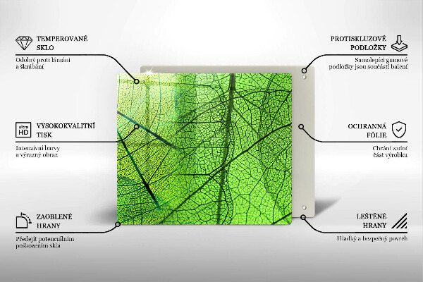 Protection plaque induction Nervures des feuilles naturelles